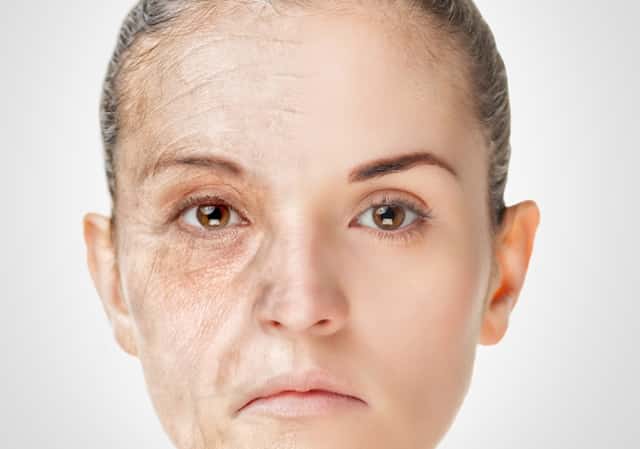 上市公司发行的股票占多少股份