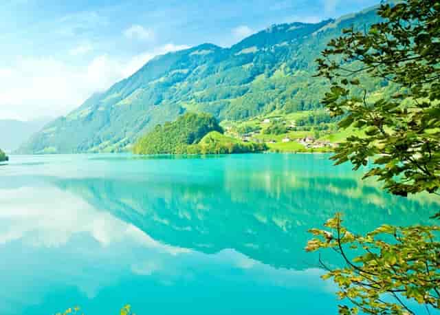 先进的党组织代表