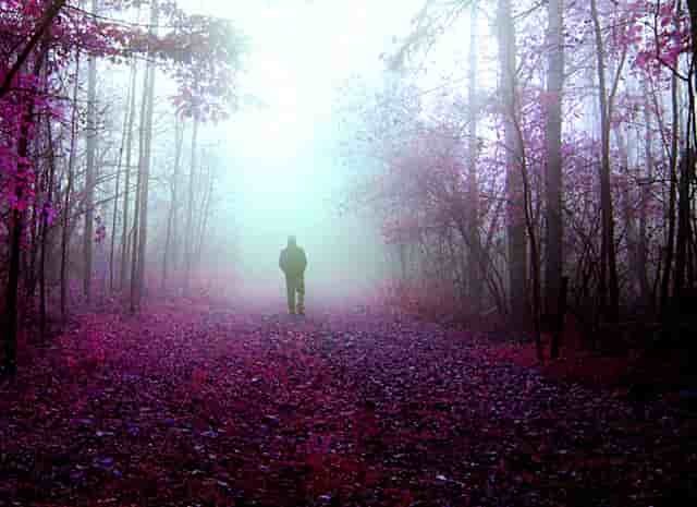 欧洲杯是怎么没法