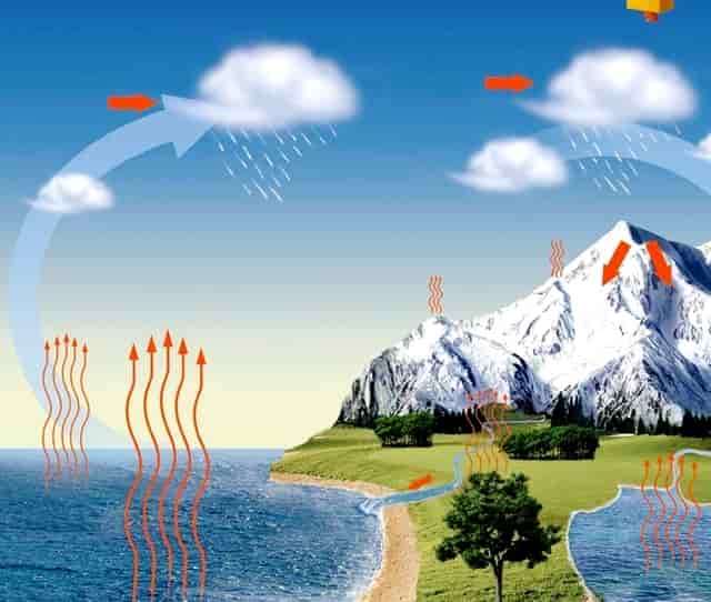 大学毕业生资格